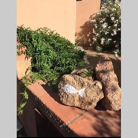 Il Canneto Канниджионе