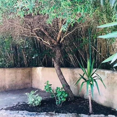 Il Canneto Apartman *